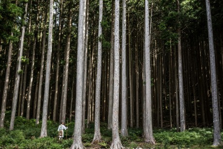 Shugendo Monk | Japan