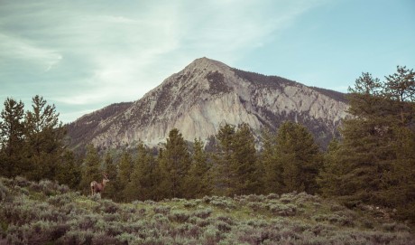 The Colorado Rockies